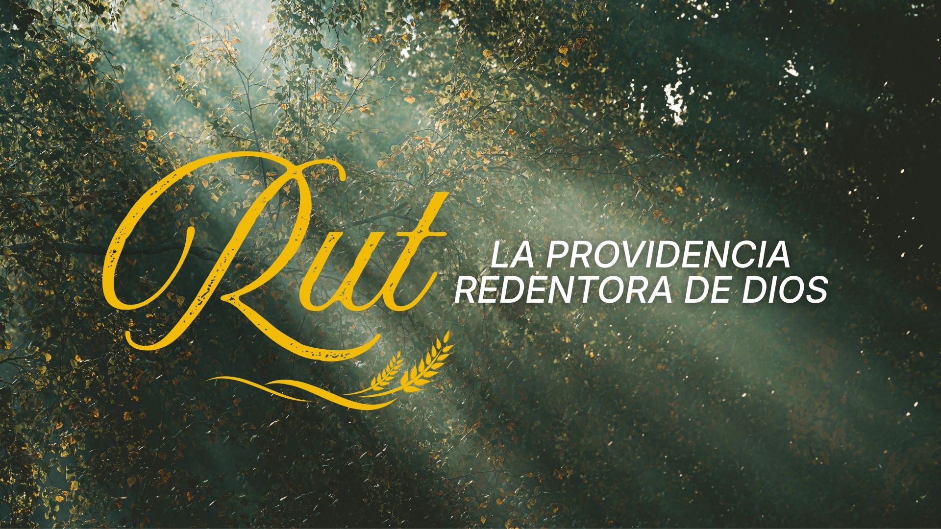 Rut: La providencia redentora de Dios